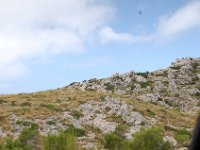 Mallorca 394